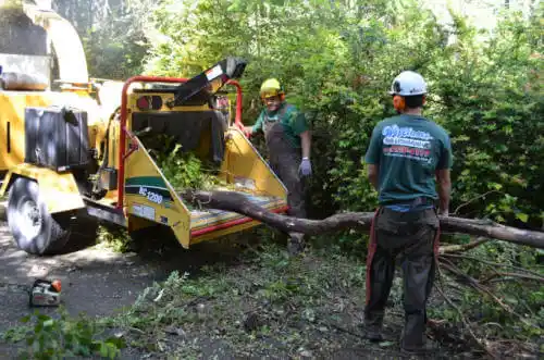 tree services Venetian Village